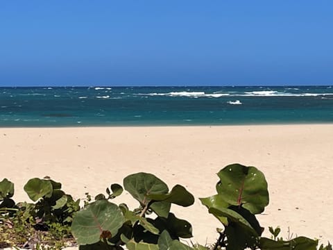 Sun loungers, beach towels