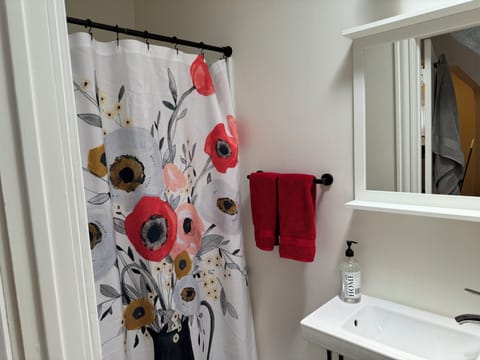 Shower, eco-friendly toiletries, hair dryer, towels