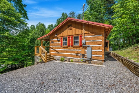 Rustic charm meets modern comfort in this forest-side hideaway.