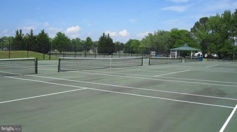 Sport court