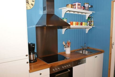 Oven, stovetop, dishwasher, coffee/tea maker