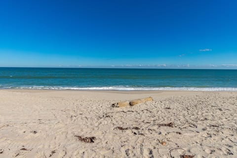 On the beach, sun loungers, beach towels