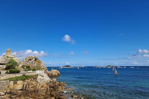 Immediate Surroundings [summer] (&lt;1 km)