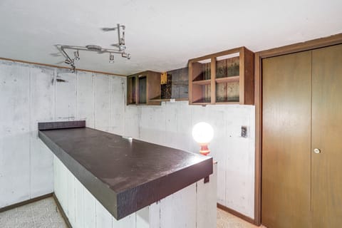 Den | Basement | Fireplace | Dry Bar