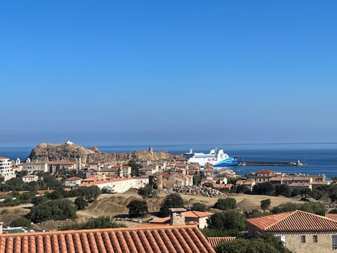 Beach/ocean view