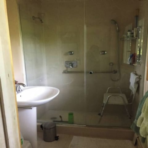 Shower, jetted tub, hair dryer, towels