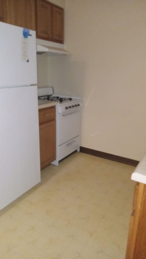 Fridge, oven, stovetop