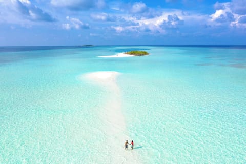 Sun loungers, beach towels