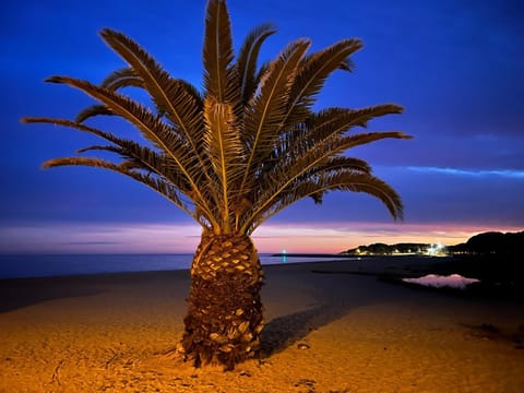 Beach nearby, sun loungers, beach towels