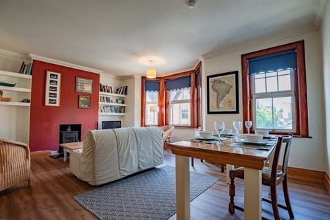 TV, fireplace, books