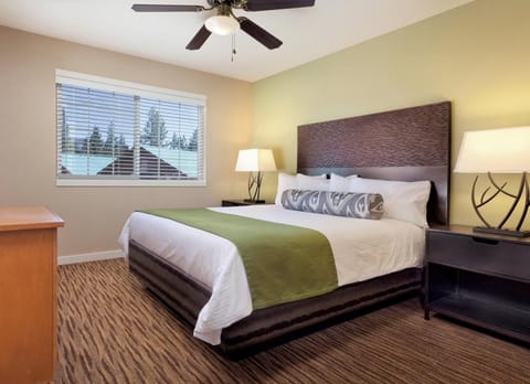 Big_20Bear_20WBW_20IN_20021_S