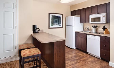 004-big-bear-gallery-studio-kit