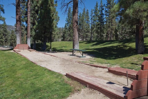 Big_20Bear_20WBW_20AM_20032_S