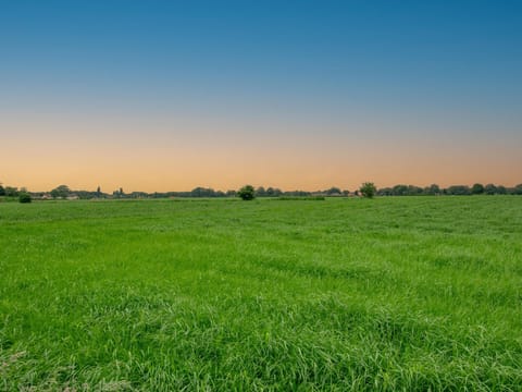 Immediate Surroundings [summer] (<1 km)