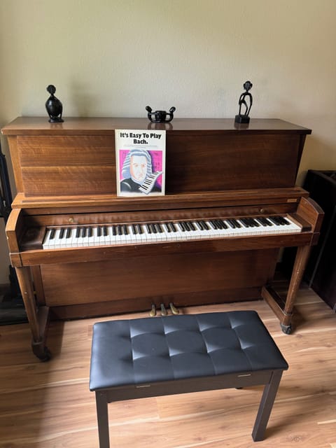 Piano for making beautiful music 