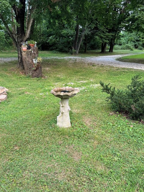 Landscaped areas to enjoy