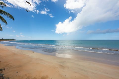 On the beach