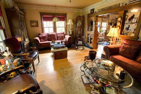 TV, fireplace, books