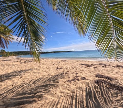 Sun loungers, beach towels