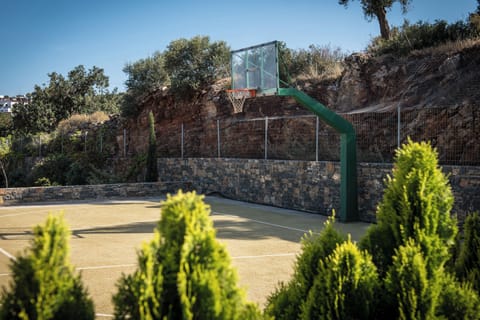 Sport court