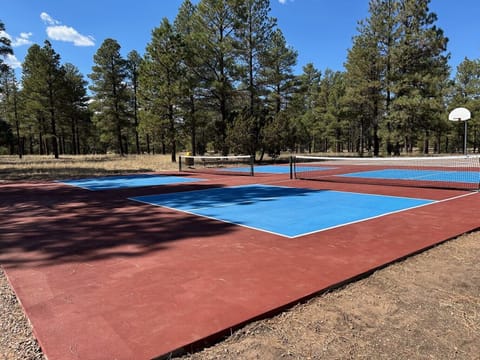 Sport court