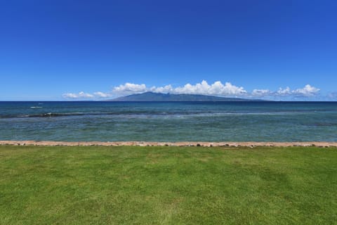 On the beach, sun loungers, beach towels