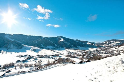 Immediate Surroundings [winter] (&lt;1 km)