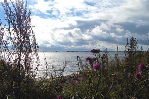 Surroundings [summer] (1-5 km)