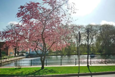 Surroundings [summer] (1-5 km)