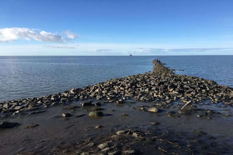 Region [summer] (&gt;5 km)