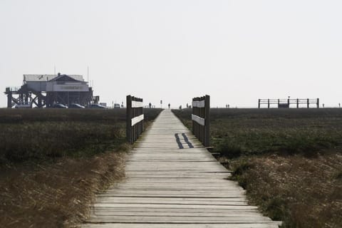 Surroundings [summer] (1-5 km)