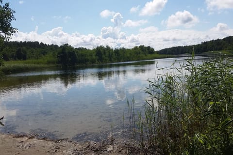 Immediate Surroundings [summer] (<1 km)