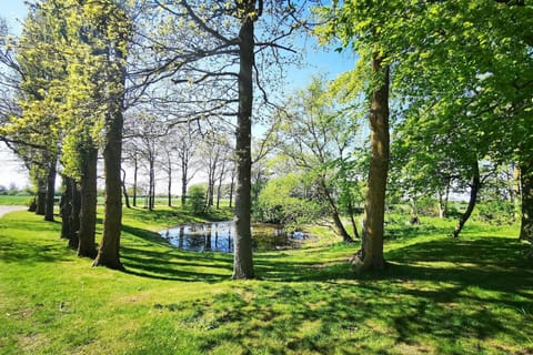 Surroundings [summer] (1-5 km)