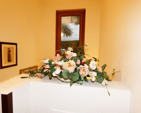 Flower, Plant, Window, Petal, Interior Design, Picture Frame, Flowerpot, Artificial Flower