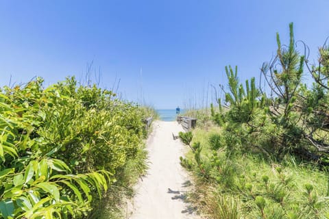 On the beach