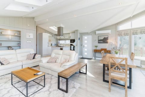 Leather motorised recliners and AC