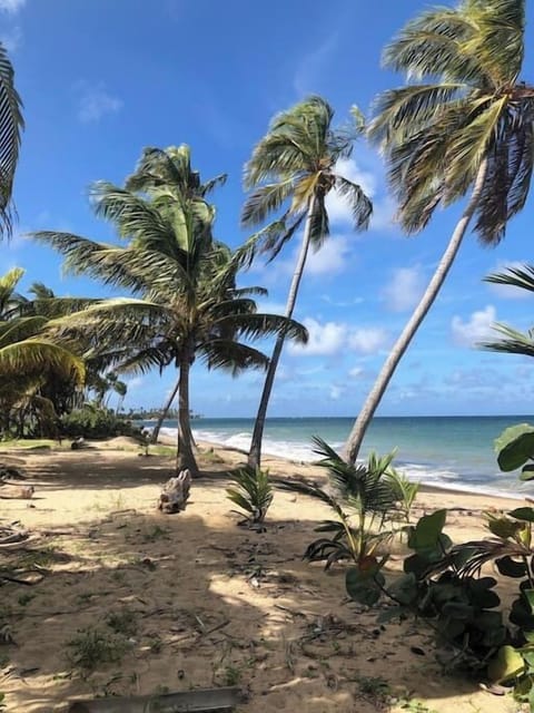 Beach nearby