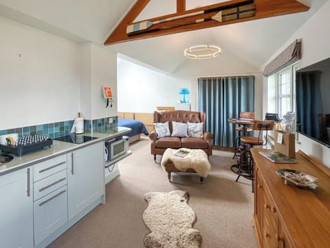 Open plan living space | Bird’s Nest, Gatehouse of Fleet, near Castle Douglas