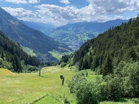 Region [summer] (>5 km)