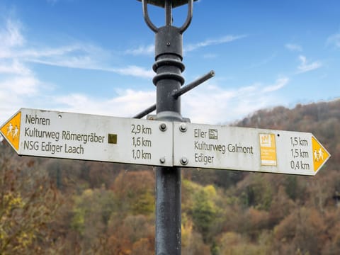 Region [summer] (>5 km)