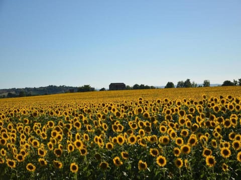 Region [summer] (>5 km)