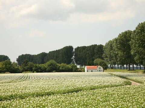 Surroundings [summer] (1-5 km)