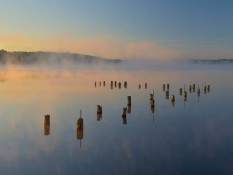 Immediate Surroundings [summer] (<1 km)