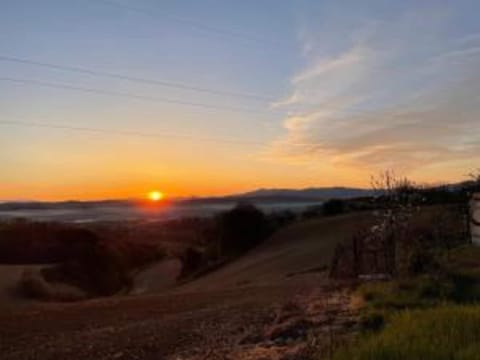 Region [summer] (>5 km)