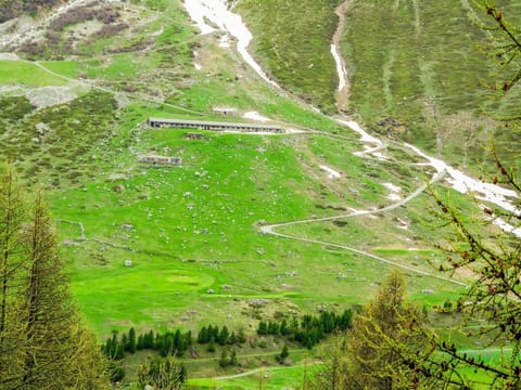 Surroundings [summer] (1-5 km)