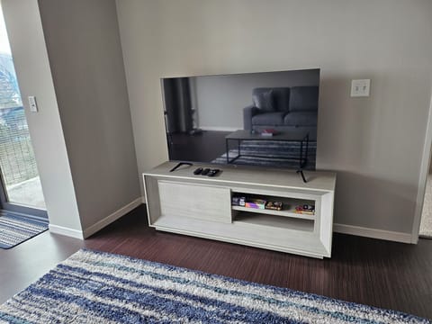 Smart TV, fireplace, books