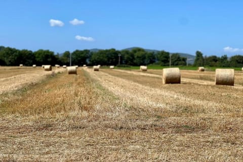 Surroundings [summer] (1-5 km)