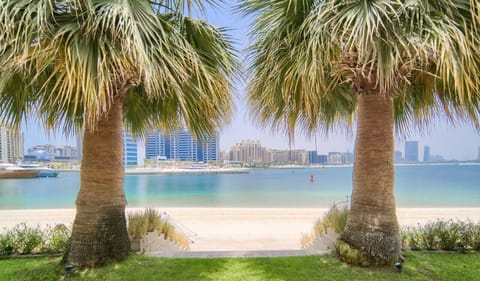 Sun loungers, beach towels