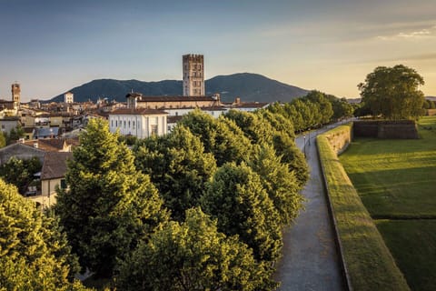 The beautiful, medieval walled city of Lucca is 30 mins by car or bus
