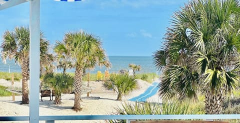 Sun loungers, beach towels